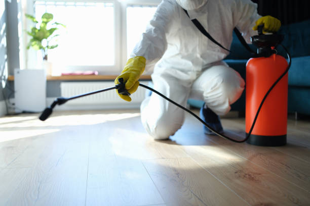 Reliable Sewage Cleanup contractor in Athens, IL by Trauma Clean Pros